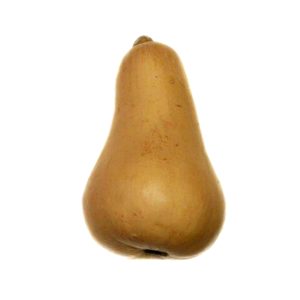 Butternut