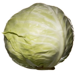 Vitkål, färsk